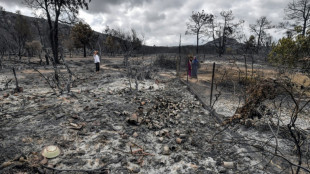 Algérie: après les incendies meurtriers, l'estimation des dégâts et le ravitaillement des sinistrés