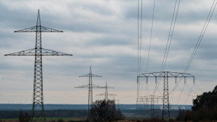 Experte warnt vor "ungeahnten Preisspitzen" bei Strompreis