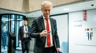 Dutch edge towards technocratic government - without Wilders as PM