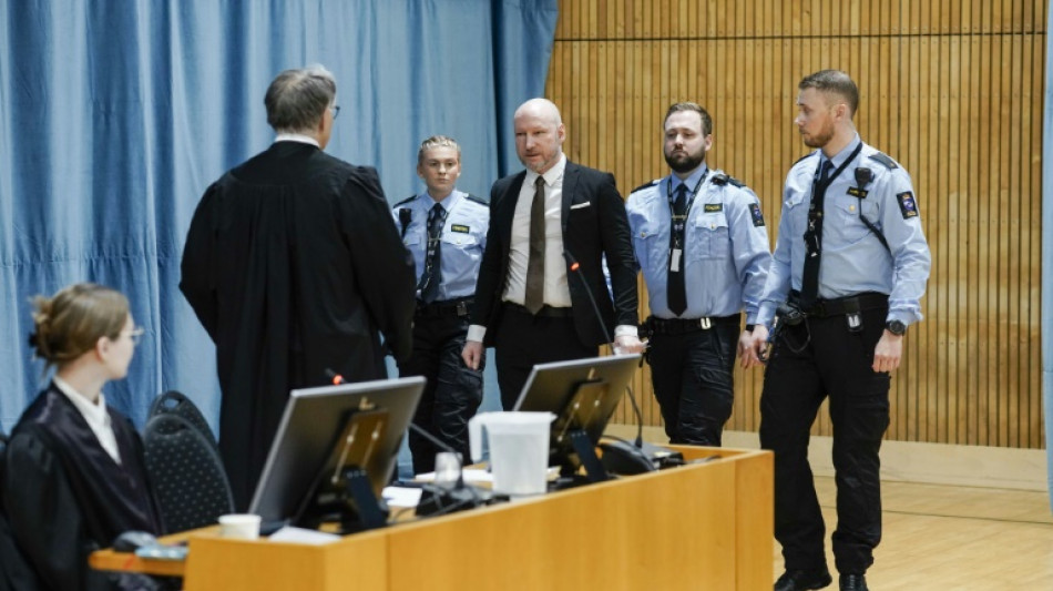 Breivik's isolation in Norwegian prison causing 'depression': lawyer