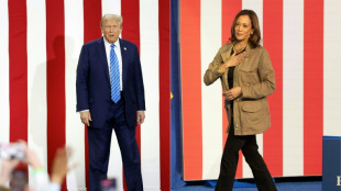 Trump e Kamala tentam conquistar voto latino a duas semanas das eleições