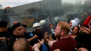 Protesters chase EU diplomats from Palestinian Museum