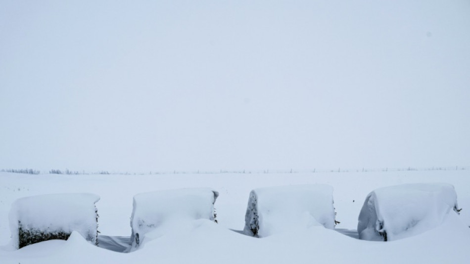 Snow buries Iowa campaigning ahead of possible bomb cyclone 