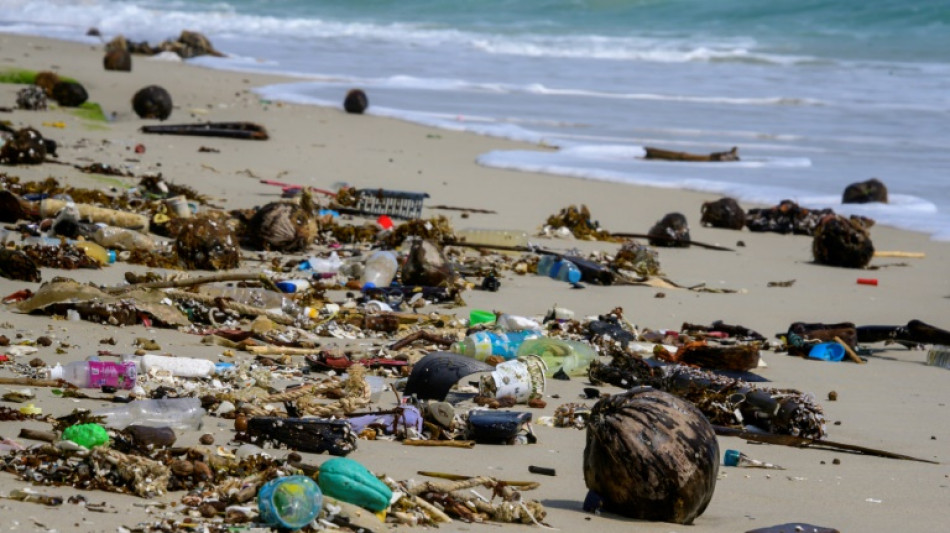 Umweltbundesamt richtet Plattform für Einwegplastik-Abgabe ein 