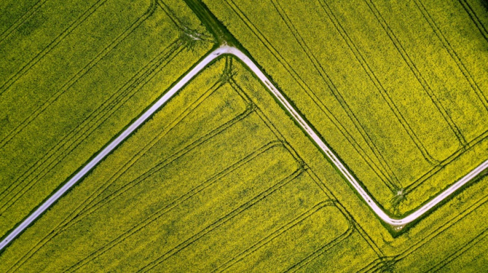 Ministerium bringt Hilfen in Höhe von 180 Millionen Euro für Landwirte auf den Weg