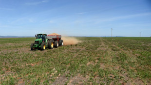 Anstieg der Erzeugerpreise für landwirtschaftliche Produkte ebbt weiter ab