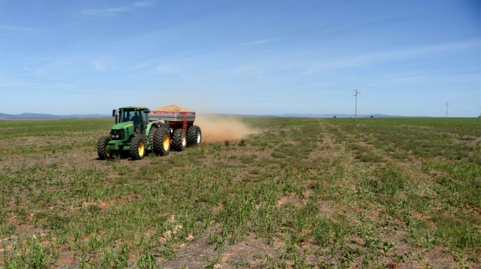 Ukraine war pushes Brazil toward natural fertilizers