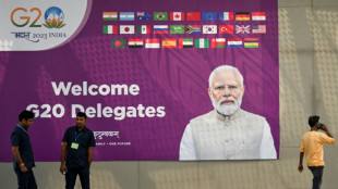 G20 gathers in India with Xi absent