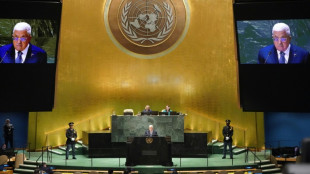 UN votes symbolically in favor of Palestinian membership