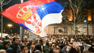 Election monitor slams Serbian vote after ruling party hails win