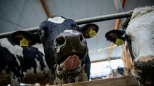 Erzeugerpreise landwirtschaftlicher Produkte im April wieder gestiegen