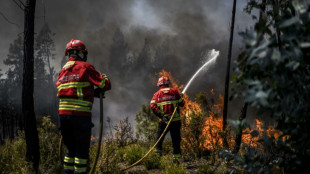 Spain, Portugal battle wildfires as temperatures soar