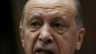 Turkey's Erdogan calls Netanyahu 'butcher of Gaza'