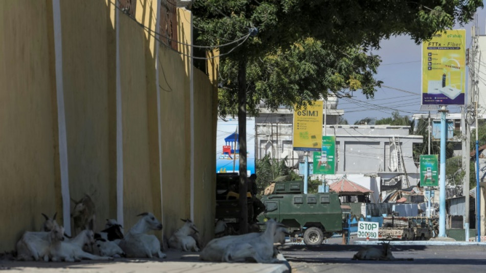 Al-Shabaab overnight siege of Mogadishu hotel ends