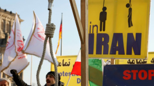 Businesses on strike in western Iran after Kurds executed: activists