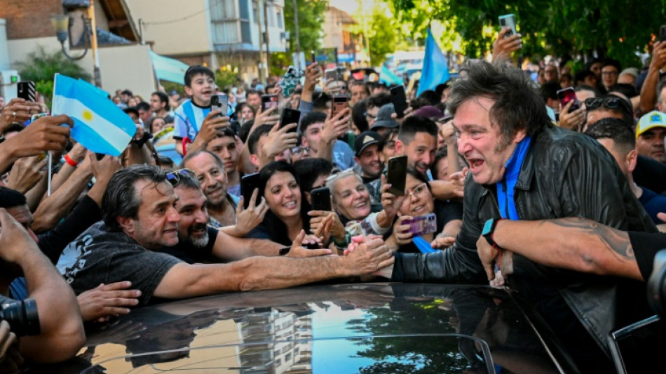 Javier Milei: outsider who ignited Argentine rage to become president