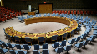 UN Security Council to consider urging Gaza ceasefire