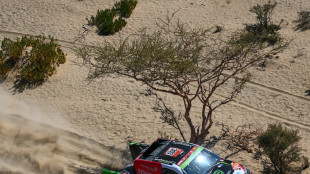 Rallye Dakar: Ekström gewinnt Prolog - von Zitzewitz Siebter