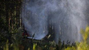 Temperaturas inusualmente altas atizan un incendio forestal en el este de España