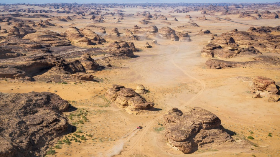 Dakar-2024: Loeb à l'arrêt pendant plus d'une heure, ses chances de sacre s'envolent