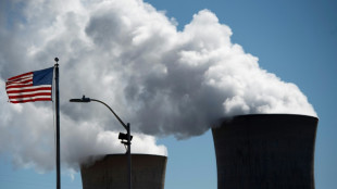 Restarting nuclear power plants: the unprecedented gamble in the US