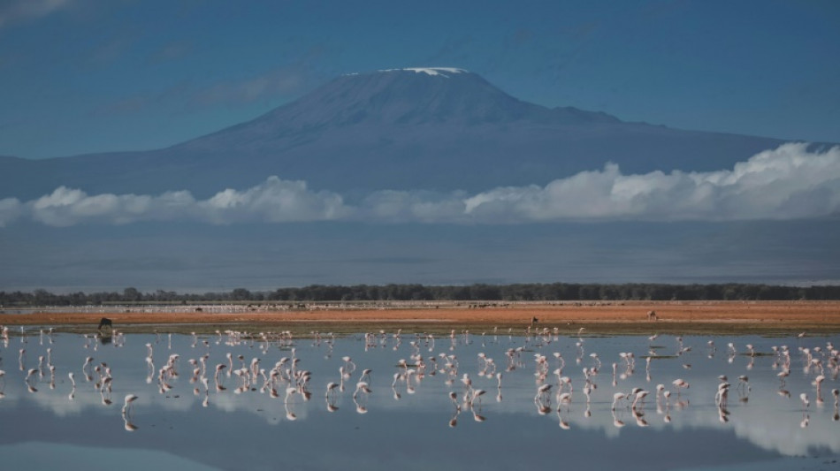 Tanzanian firefighters battle blaze on Mount Kilimanjaro