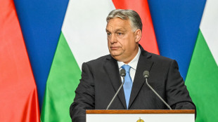 Budapest provoca, 'una legge come in Georgia per tutta l'Ue'