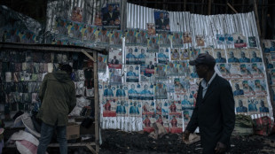 'Foreigner' claims dog DR Congo presidential candidates