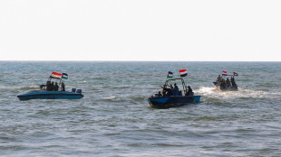 UN Security Council demands immediate end to Huthi Red Sea attacks