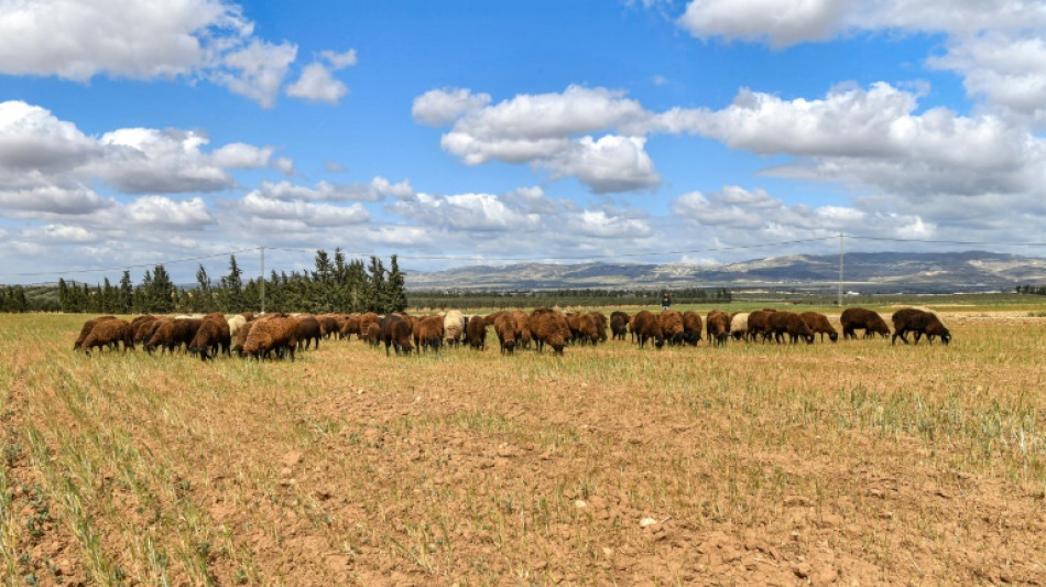 'Flash drought' frequency increasing due to climate change: study