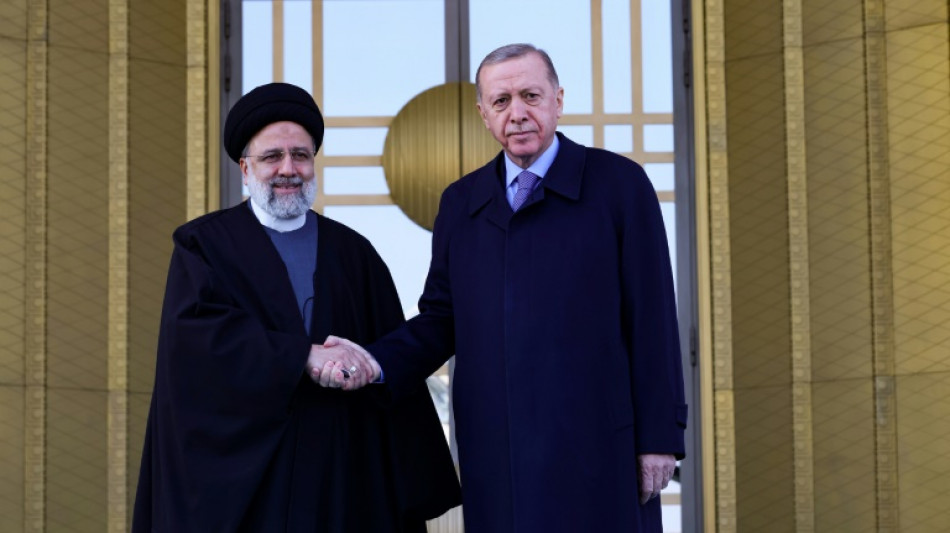 Iran's Raisi, Erdogan pledge to contain Gaza violence