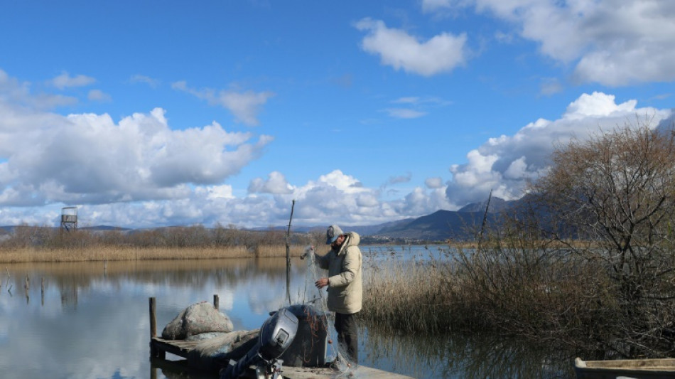 Rising temperatures upend migratory bird habitats in Albania 
