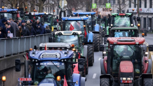 Trecker-Blockade in Brüssel im Protest gegen Umweltauflagen