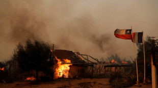 Five people dead in Chile forest fires caused by heatwave