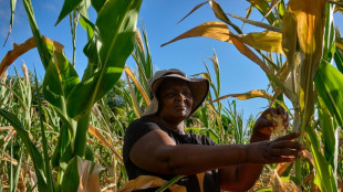 Au Zimbabwe, El Nino fait ressurgir le spectre de la faim