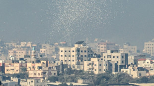 Hamas says more than 80 dead in Israeli strikes on Gaza camp