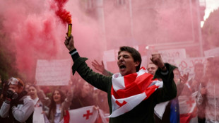 30,000 rally in Georgia amid new criticism of 'foreign influence' law