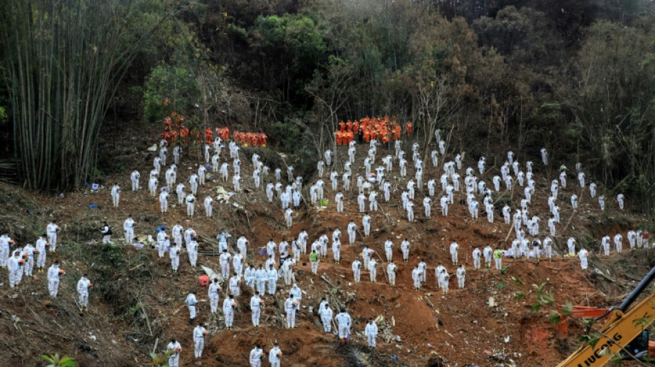 Flight data shows China Eastern jet deliberately crashed: report