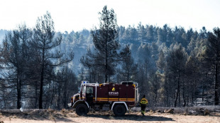 Espagne: évolution favorable du premier feu de forêt majeur de l'année