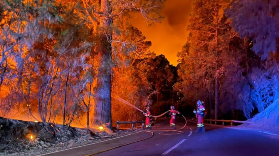 Looming heat and wind threaten to stoke Spain's island wildfires