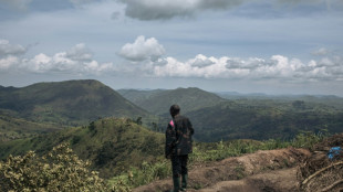 M23 rebels, DRC begin two-week 'humanitarian truce' 