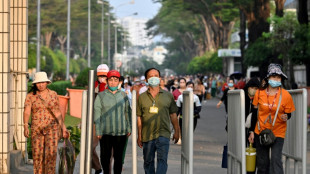 "Trop dur": au Vietnam, des travailleurs migrants retournent à la campagne