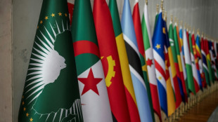 AU leaders meet facing coups, conflicts, crises 