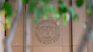 IMF officially starts process to find new managing director