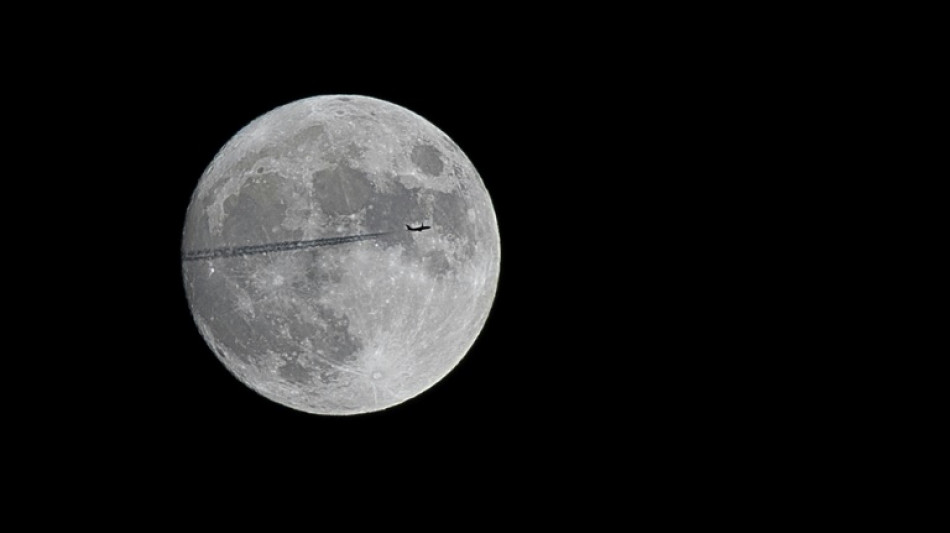 Científicos australianos quieren cultivar plantas en la Luna en 2025