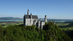 Urteil in Prozess um tödliche Attacke bei Schloss Neuschwanstein erwartet