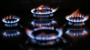 Il gas sopra i 52 euro, tocca nuovi massimi da ottobre 2023