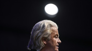 Wilders: firebrand 'Dutch Trump' finally wins big