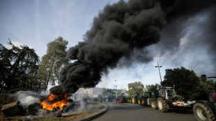 Farmer discontent spreads in EU as France seeks to quell protests