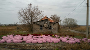 Dans l'est de l'Ukraine, l'étau se resserre sur les derniers civils